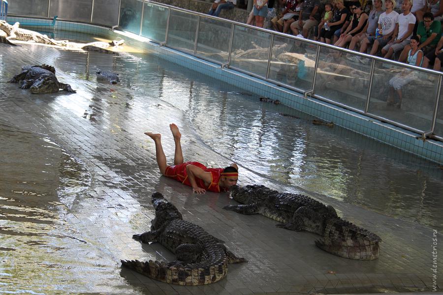 Pattaya Crocodile Farm