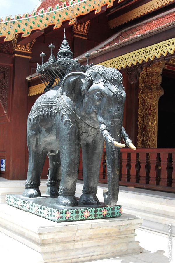 Слон в храме Ват Пратхат Дои Сутхеп, Чианг Май