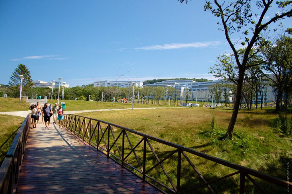 Парк кампуса ДВФУ, Владивосток, FEFU park, Vladivostok