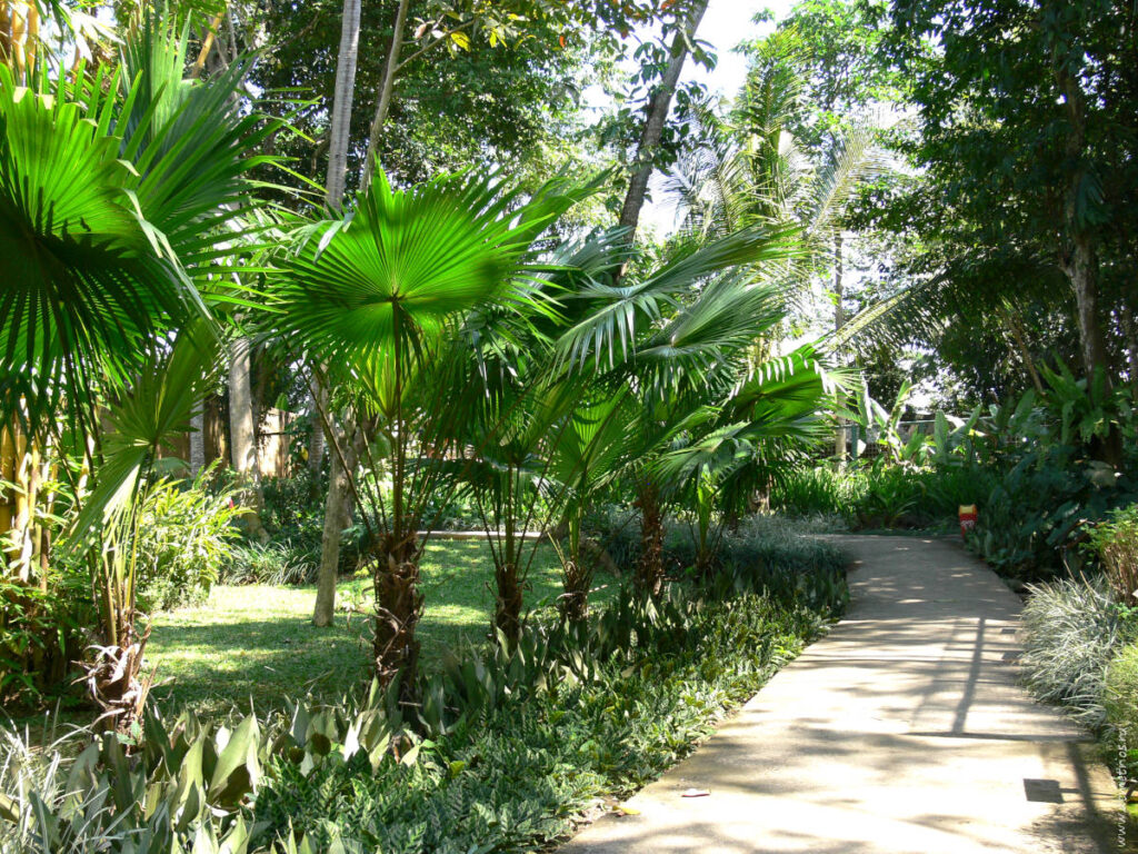 Бали. Зоопарк Bali Zoo Park. Дорожки