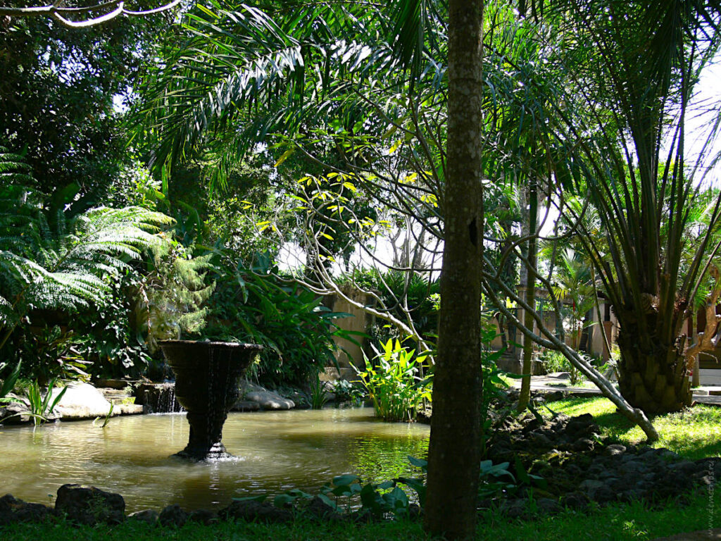 Бали. Зоопарк Bali Zoo Park. Водоёмчик
