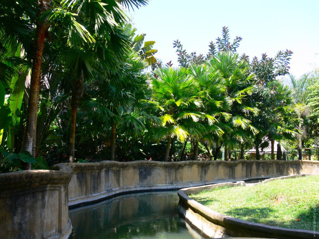 Бали. Зоопарк Bali Zoo Park. Остров орангутана