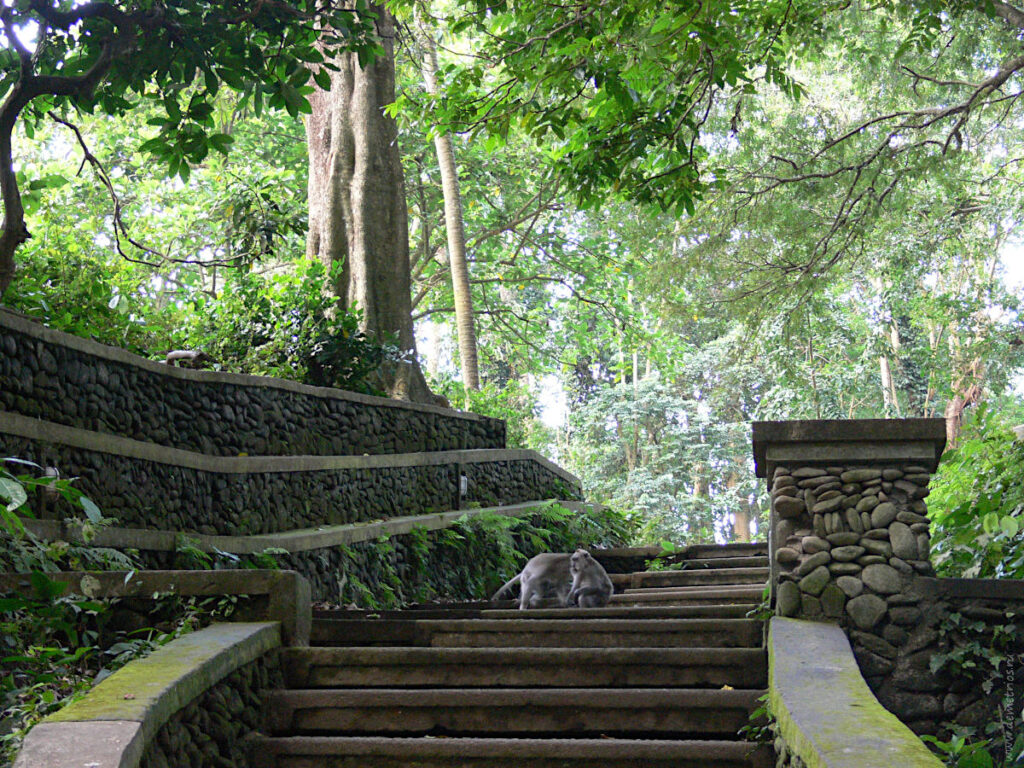 Бали. Лес обезьян. Monkey Forest. Sacred Monkey Forest Sanctuary
